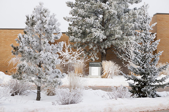 Snow capped trees with freezing frost covers the trees behind the Snow Building, creating a peaceful winter wonderland.