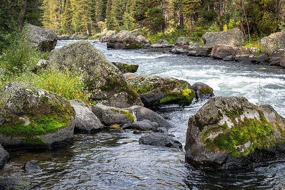 Photo excursion, hike along the river to Coffee Pot rapids.