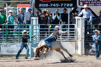 Spring Fest Rodeo - May 2025