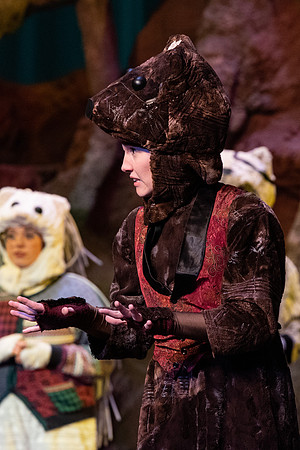 The Wind in the Willows - Feb 2020