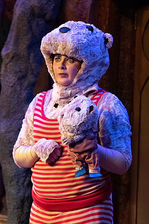 The Wind in the Willows - Feb 2020