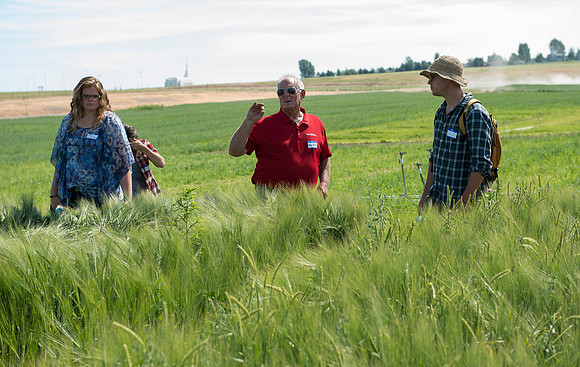 Ag students get the opportunity to show off their wheat crops during Ag Days.