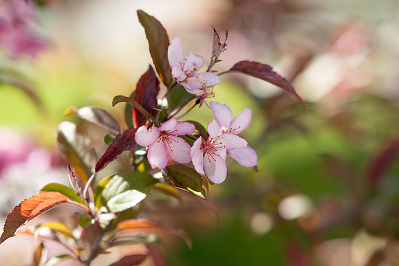 Campus Spring - May 2025