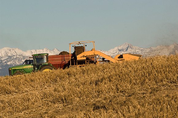 Idaho Agriculture