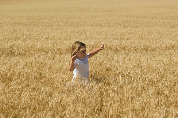 Children in the wheat fields- AUG 2007