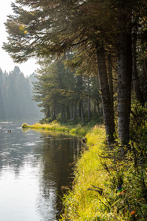 Photo excursion, hike along the river to Coffee Pot rapids.