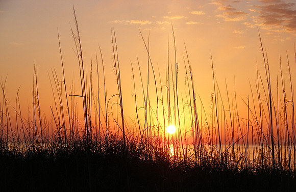 Sunrise