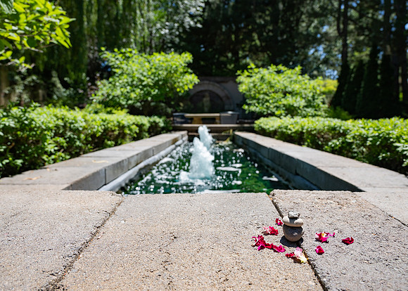 Thomas E Ricks Gardens during spring semester