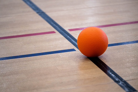 Dodgeball Tournament - Mar. 2025