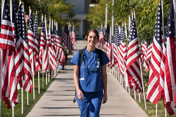 500 flags displayed in the Central Quad on Constitution Day.