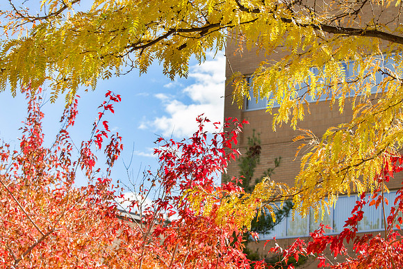 A scenic picture of campus during the 2014 Fall Semester.