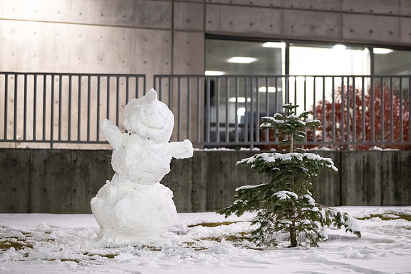 Snowman - Nov 2024