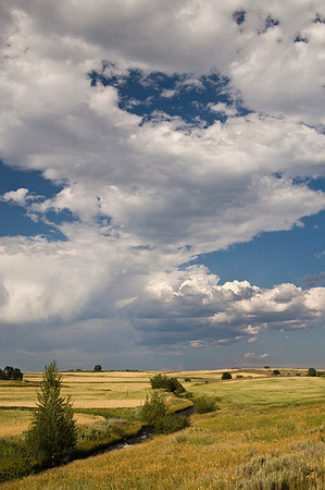 Agricultural Scenic Shots