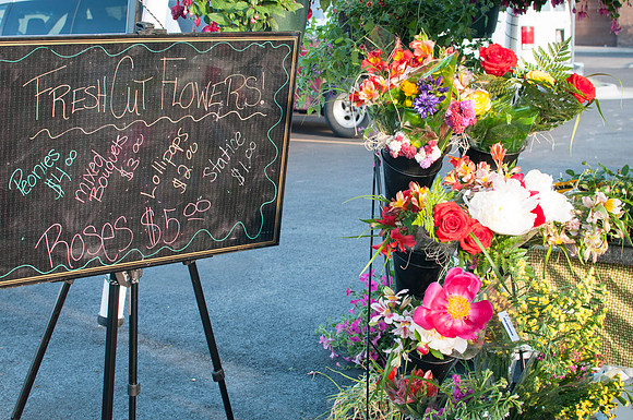 BYU-I Horticulture Stand, flowers for sale, Spring 2013