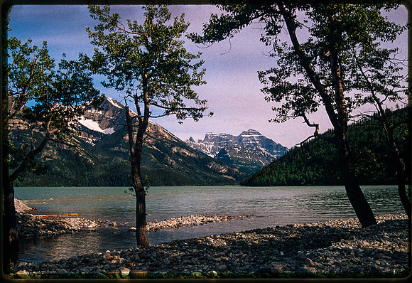 Waterton National Park - Canada - June 1995