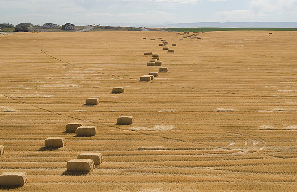 Aerial photos of Idaho agriculture