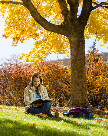 Fall Foliage, BYU-Idaho- Oct 2013
