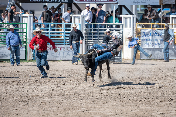 SpringFest Rodeo - June 2025