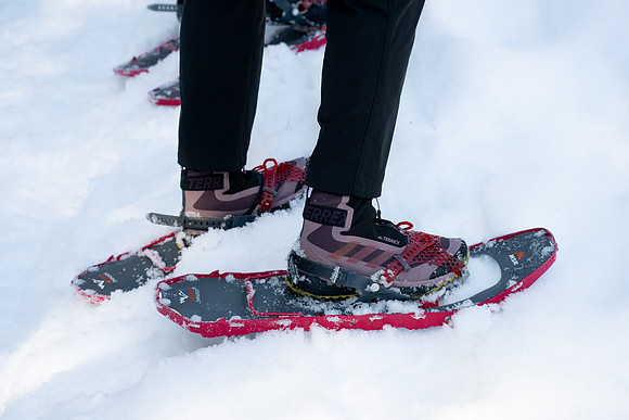 Snowshoeing at Bear Gulch - Mar 2025