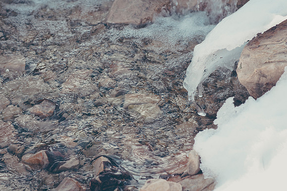 Ice begins to form on the side of the small river bank in the Taylor Quad.