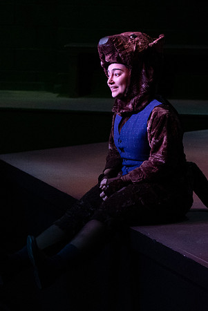 The Wind in the Willows - Feb 2020
