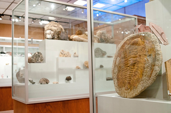 new displays to hold artifacts and mineral collection in the geology museum.