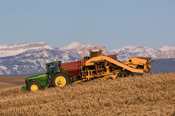 Idaho Agriculture