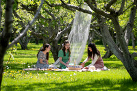 Apple Blossom Festival - May 2025