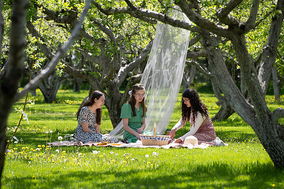 Apple Blossom Festival - May 2025