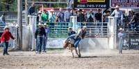 SpringFest Rodeo - June 2025
