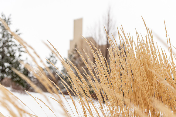 Fresh Snowfall on Campus - Jan 2022