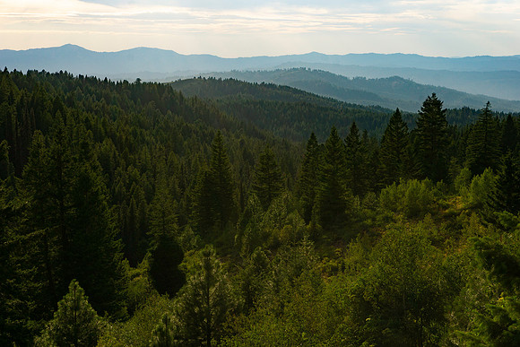 Various landscapes in central Idaho along a well known bikepacking route.