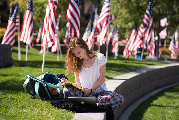 500 flags displayed in the Central Quad on Constitution Day.