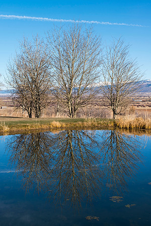 University Relations Communications, Creative Services retreat at the Sky Mountain Lodge near Victor, Idaho.