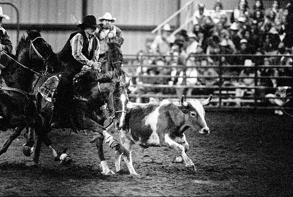 The main event was calf roping