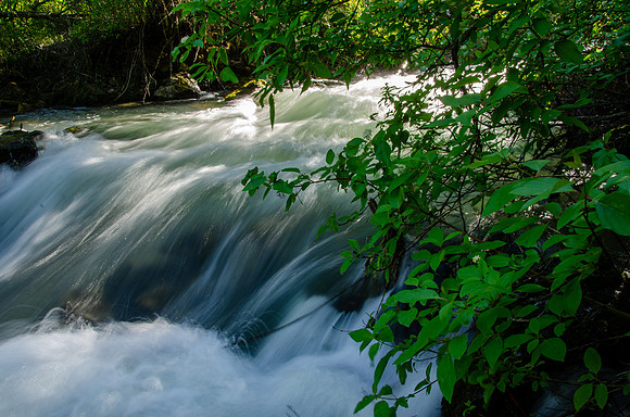 Photo Excursion: hike to Lower Palisades Lake.