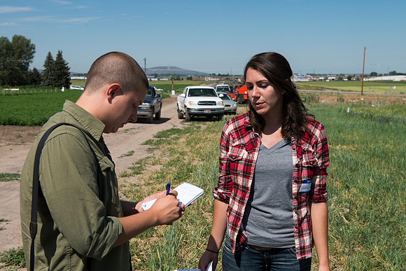 Ag students get the opportunity to show off their wheat crops during Ag Days.