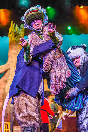 The theatre department's dress rehearsal of the Wind in the Willows in the Snow Drama Theatre.
