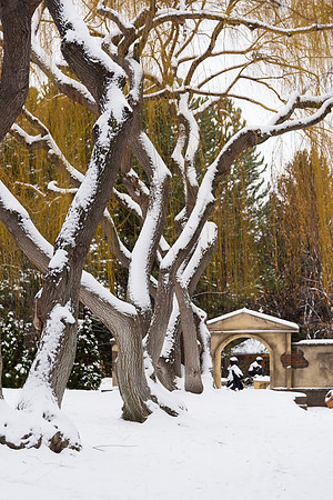 Snowy morning on campus, Fall 2016