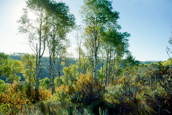 Scenery photographs of the Elk Ranch.