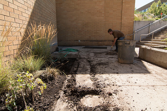 Tuesday, July 15, around 5 pm, a thunderstorm came through Rexburg , Idaho and dumped 1.15 inches (according to the National Weather Service) of rain and hail in less then an hour, All that rain racin