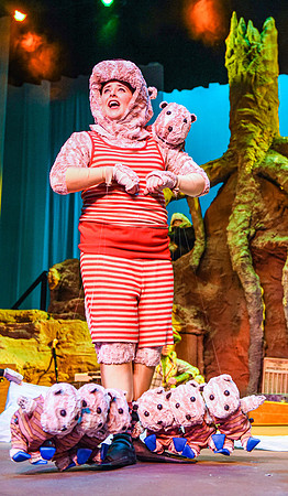 The theatre department's dress rehearsal of the Wind in the Willows in the Snow Drama Theatre.