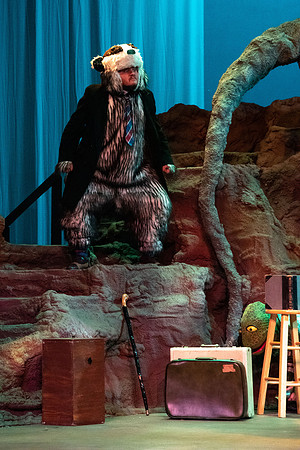 The Wind in the Willows - Feb 2020