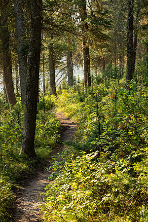 Photo excursion, hike along the river to Coffee Pot rapids.