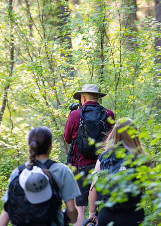 Hike - June 2024