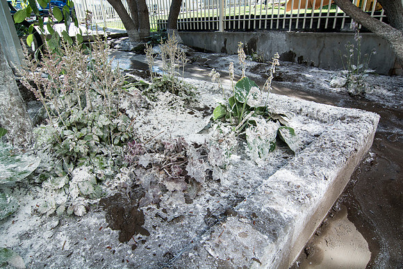 Tuesday, July 15, around 5 pm, a thunderstorm came through Rexburg , Idaho and dumped 1.15 inches (according to the National Weather Service) of rain and hail in less then an hour, All that rain racin