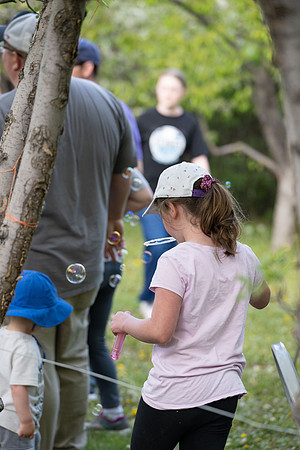 Apple Blossom Festival - May 2025