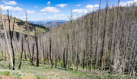 Various landscapes in central Idaho along a well known bikepacking route.