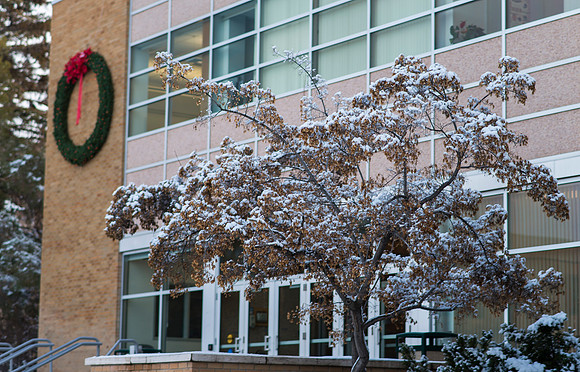 Christmas at BYU-Idaho, David O McKay Library