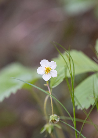 Hike - June 2024
